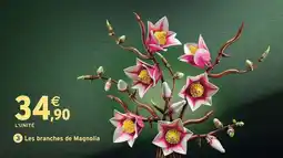 Intermarché Hyper Lego botanicals les branches de magnolia offre