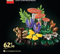 Intermarché Hyper Lego les champignons des bois offre