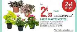 Botanic Babys plantes vertes offre