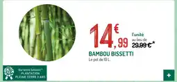 Botanic Bambou bissetti offre