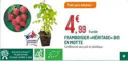 Botanic Framboisier héritage bio en motte offre