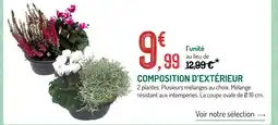 Botanic Composition d'extérieur offre