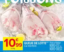Carrefour Market QUEUE DE LOTTE offre