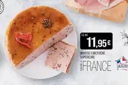 Match Mousse forestière supérieure offre