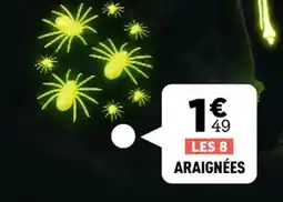 Centrakor ARAIGNÉES offre