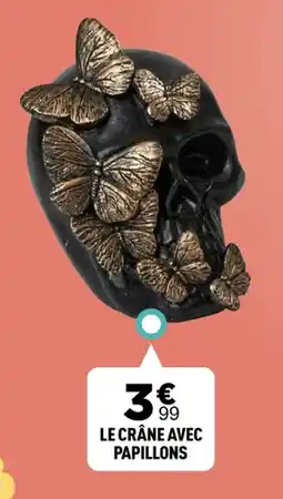 Centrakor LE CRÂNE AVEC PAPILLONS offre
