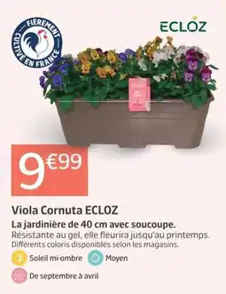 Jardiland ECLOZ Viola Cornuta offre