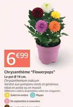Jardiland Chrysanthème "Flowerpops" offre