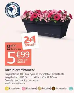 Jardiland Jardinière Roméo offre