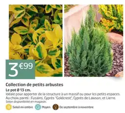 Jardiland Collection de petits arbustes offre