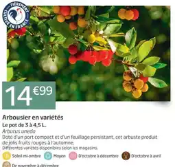Jardiland Arbousier en variétés offre