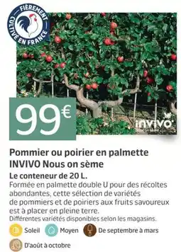 Jardiland INVIVO Pommier ou poirier en palmette offre