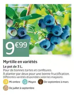Jardiland Myrtille en variétés offre