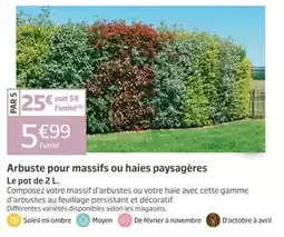 Jardiland Arbuste pour massifs ou haies paysagères offre