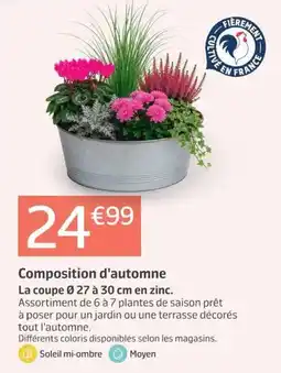 Jardiland Composition d'automne offre