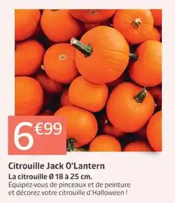 Jardiland Citrouille Jack O'Lantern offre
