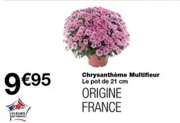 Monoprix Chrysanthème Multifleur offre