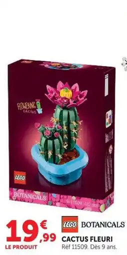 Hyper U LEGO BOTANICALS CACTUS FLEURI offre