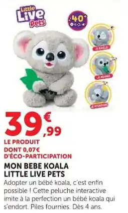 Hyper U Little Live Pets Mon Bebe Koala offre
