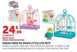 Hyper U Little Live Pets Oiseau Indie ou Rosie offre