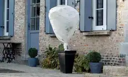 Jardiland Voile d'hivernage jardiland offre