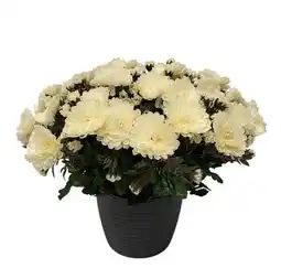 Jardiland Pot de chrysanthèmes artificiels offre