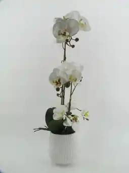 Jardiland Ecloz orchidée artificielle 2 tiges ecloz offre