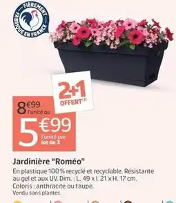 Jardiland Jardinière ''romeo'' offre