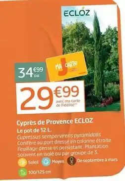 Jardiland Ecloz - cyprès de provence offre