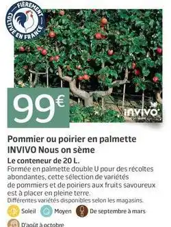 Jardiland Invivo - pommier ou poirler en palmette invivo offre