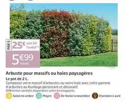 Jardiland Arbuste pour massifs ou haies paysagères offre
