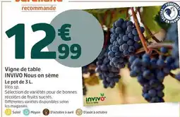 Jardiland Invivo - vigne de table offre