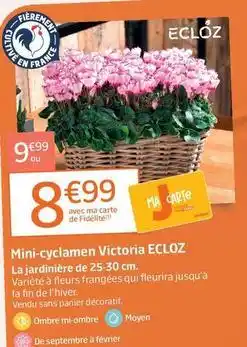 Jardiland Ecloz - mini-cyclamen offre