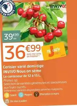 Jardiland Invivo - cerisier vaníé demi-tige offre