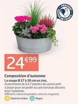 Jardiland Composition d'automne offre