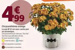 Jardiland Chrysanthème orange offre
