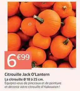 Jardiland Citrouille jack o'lantern offre