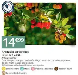 Jardiland Avril - arbousier en variétés offre