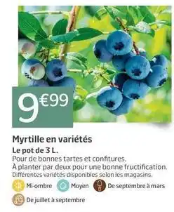 Jardiland Myrtille en variétés offre