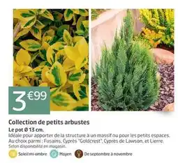 Jardiland Collection de petits arbustes offre