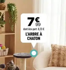 Centrakor L'arbre a chaton offre