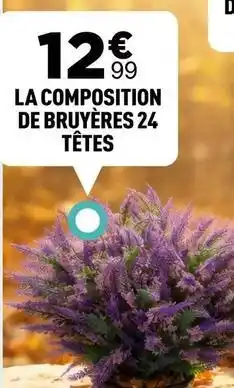 Centrakor Composition de bruyères 24 têtes offre