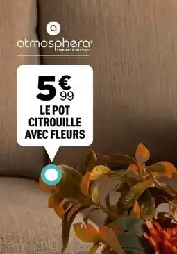 Centrakor Atmosphera - le pot citrouille avec fleurs offre