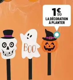 Centrakor La décoration à planter offre