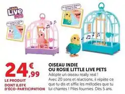Super U Oiseau indie ou rosie little live pets offre