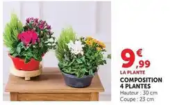 Super U Composition 4 plantes offre