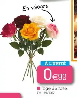 Kandy Tige de rose offre