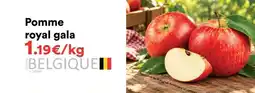 Hmarket Royal - pomme gala offre