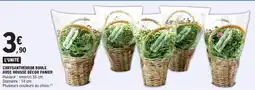 E.Leclerc Chrysanthemum Boule offre