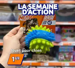 Action Jouet pour chien offre